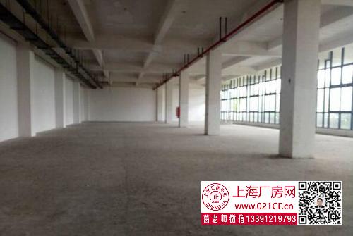 G1729 浦東 航頭鎮(zhèn) 8000平方米廠房倉(cāng)庫(kù)出租  100平起租 適合倉(cāng)儲(chǔ)電商 價(jià)格優(yōu)惠