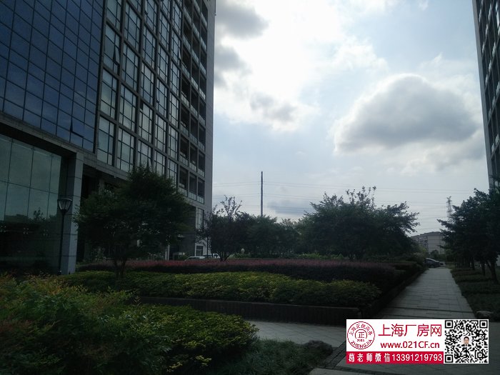 G1776 靜安 地鐵一號(hào)線汶水路站附近 市北高新園區(qū)內(nèi)研發(fā)辦公展示樓出租 一樓500平，樓上200平起租