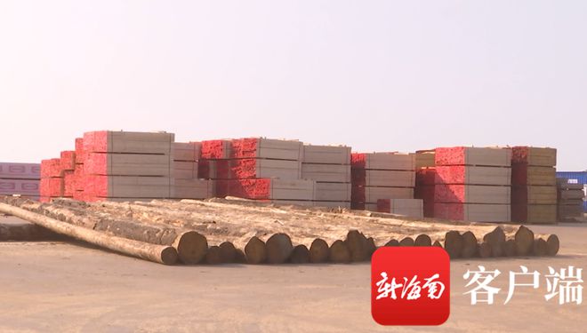 洋浦：海南中順國(guó)際木材產(chǎn)業(yè)園將打造全省首家大宗進(jìn)口木材產(chǎn)品交易集散地