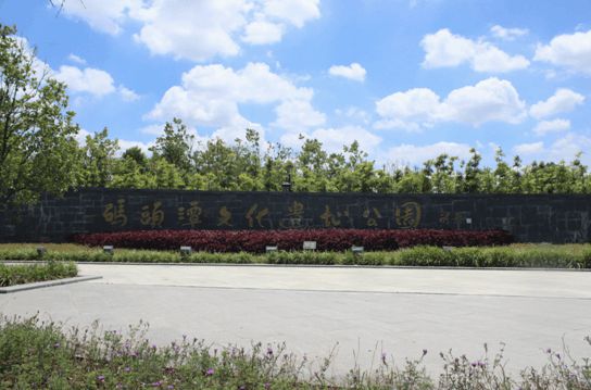 盛夏來襲 中南熙悅近享“園”味風(fēng)景