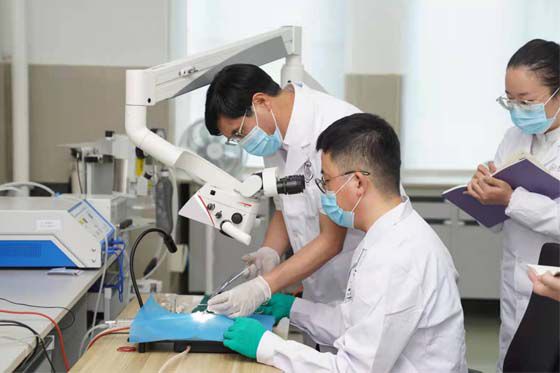 點贊！貴州醫(yī)科大學2021年度獲批國家自然科學基金項目再創(chuàng)新高