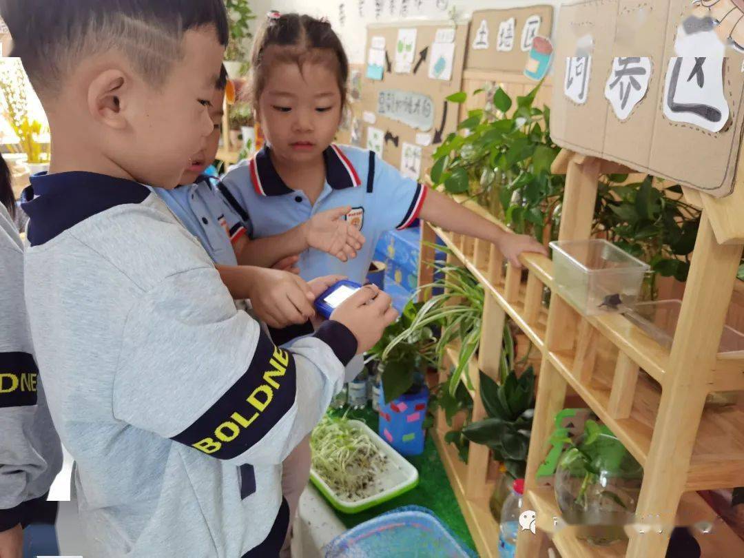 小烏龜你好！——開發(fā)區(qū)中南熙悅幼兒園班本課程敘事